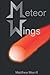 Meteor Wings