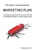 The small to mid-size business MARKETING PLAN by Alessandro Garro