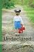 Undeclared by Sherry Mann