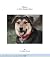 Mason, A New Mexico Hero by Caroline Mason