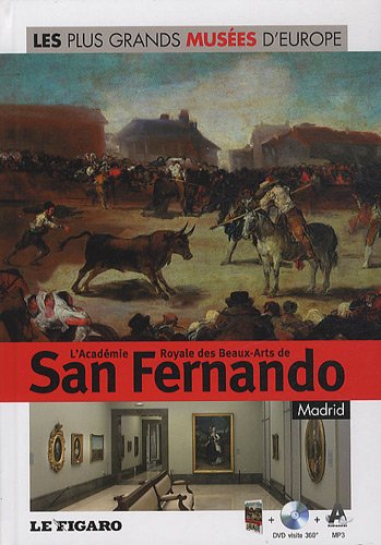 L'académie royale des beaux-arts de San Fernando, Madrid, tome 28 (DVD inclus)