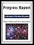 Progress Report