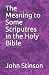 The Meaning to Some Scriputres in the Holy Bible by John Stinson