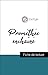Analyse de l'œuvre : Promét...
