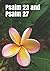 Psalm 23 and Psalm 27: An e...