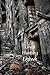 Ghost Hunting Logbook: Para...