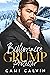 Billionaire Grump Protector