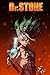 Dr Stone: Japanese Anime, O...