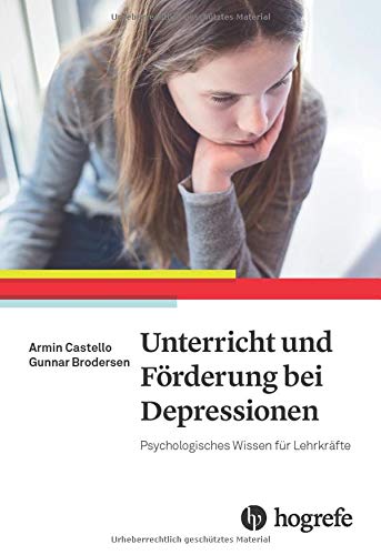 Unterricht und Förderung bei Depressionen (Perfect Paperback)