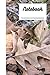 Notebook: Leaf Cover 120 Pa...