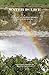 Water Is Life: a Critical P...