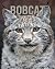 Bobcat: Learn About Bobcat ...