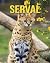 Serval by Reid Conrad
