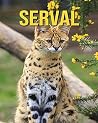 Serval: Learn About Serval and Enjoy Colorful Pictures Serval: Learn About Serval and Enjoy Colorful Pictures