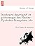 Itine Raire Descriptif Et Pittoresque Des Hautes-Pyre Ne Es F... by Pierre Labouliniere