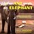 Mother Ant meets an Elephant by Mabel Ihedioha