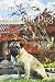Travels With My Pug: My per...
