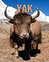 Yak: Beautiful Pictures & Interesting Facts Children Book About Yak
