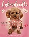 Labradoodle Calendar 2022: 2022-2023 calendar animals- animal wildlife calendar July 2021 to December 2022 with high quality cute animal photos for animal lover gifts for kids