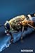 Notebook: Macro World Serie...