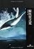 鲸鱼星之夏