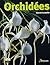 Orchidées by Marcel Lecoufle