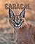 Caracal: Fascinating Caraca...