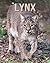 Lynx: Fascinating Lynx Facts for Kids with Stunning Pictures!