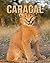 Caracal: Fun Learning Facts...