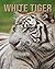 White Tiger: Fun Learning F...