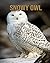 Snowy owl: Fun Learning Fac...