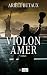 Violon amer (ARCHIPEL.ARCHIP) (French Edition)