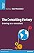 The Consulting Factory: Growing as a consultant (Village Mondial)