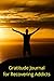 Gratitude Journal for Recov...