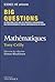 BIG QUESTIONS MATHEMATIQUES by Tony Crilly
