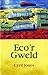 Eco'r Gweld by Cyril Jones