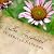Be Inspired: inspirations i...