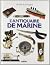 L'antiquaire de marine by Jean Randier