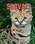 Serval: Fun Learning Facts ...