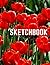 Sketchbook: for drawing, fo...