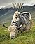 Yak: Fun and Fascinating Fa...