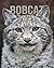 Bobcat: Fun and Fascinating Facts and Photos about These Amazing & Unique Animals for Kids