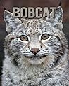 Bobcat: Fun and Fascinating Facts and Photos about These Amazing & Unique Animals for Kids