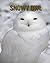 Snowy owl: Beautiful Pictur...