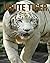 White Tiger: White Tiger: F...