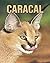 Caracal by Alana Reid
