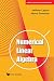 NUMERICAL LINEAR ALGEBRA*
