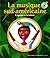 La musique sud-américaine: ...