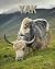 Yak by Reid Conrad