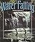 Water Falling